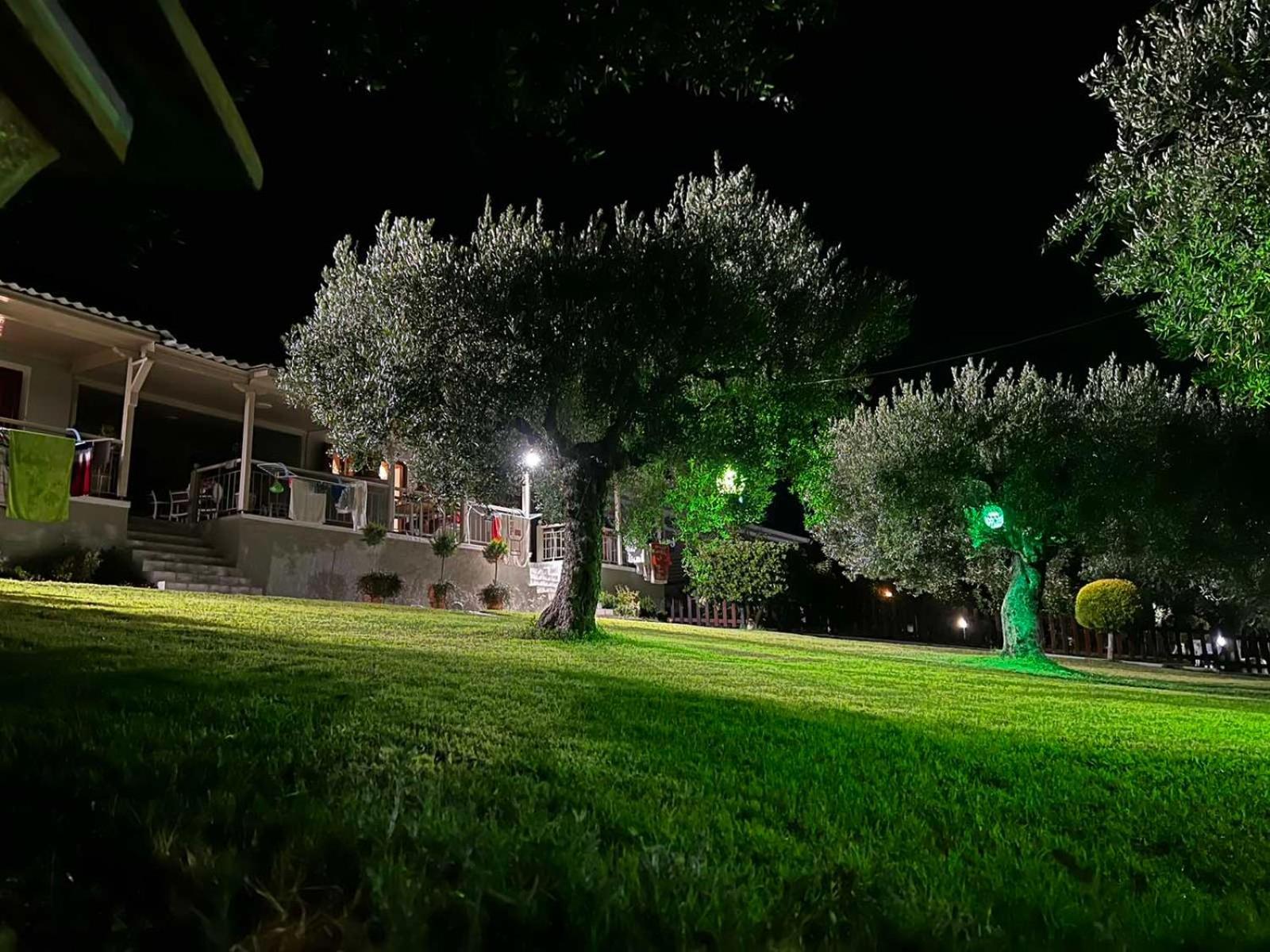 דירות פסאקודיה House Garli חדר תמונה